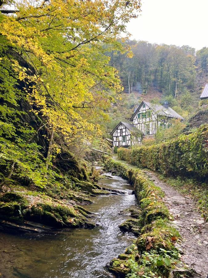 Haus Von Hoegen Cochem Eksteriør billede